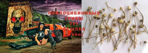 ешки Балахна