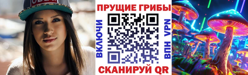 Купить где  Байкальск  Галлюциногенные грибы Magic Shrooms 